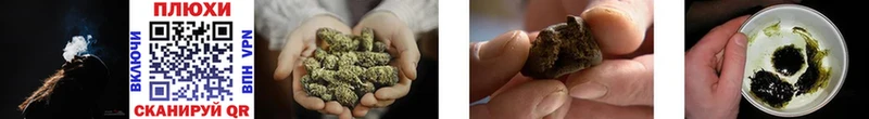 ГАШ Cannabis дарнет шоп Покров