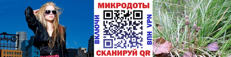 дарнет шоп  Покров  Псилоцибиновые грибы MAGIC MUSHROOMS 